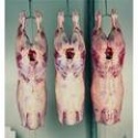 frozen lamb meat discount price - product's photo